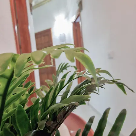 De Apartament Santa Cruz de Tenerife